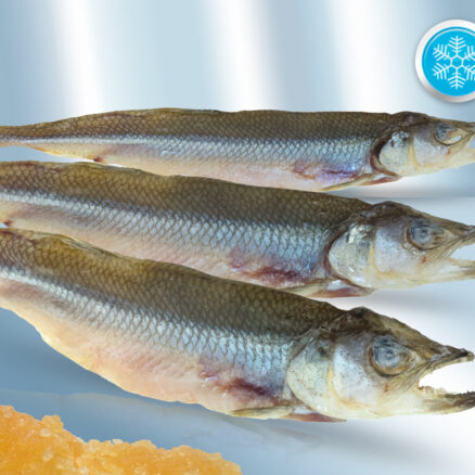 Корюшка вяленая, непотрошенная (10-15см)