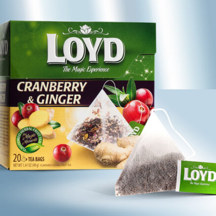 Фруктовый чай Клюква & Имбирь 20х2г