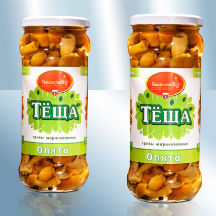 Грибы маринованные, опята с чесночком 580мл (чистый вес 315г)