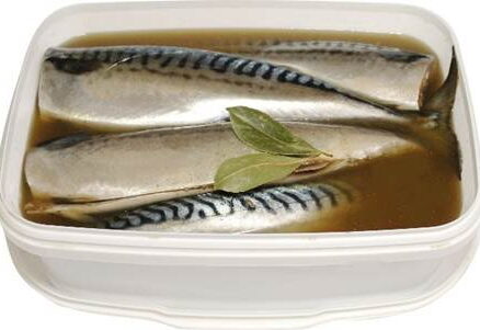 Скумбрия без головы в розсоле в ведре 2,5кг LEMBERG